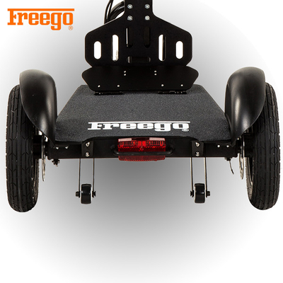 Vespa plegable ligera de la movilidad de 10 pulgadas para los mayores 36V 350W 8km/H