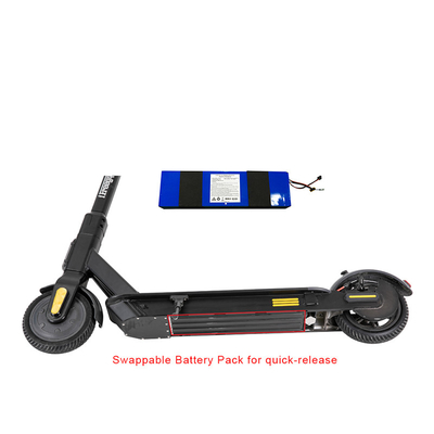 Aprobación portátil de la FCC del CE de Ion Battery For Electric Scooter del litio 13v 18650